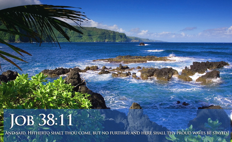 communication, beauty in nature, sea, tropical climate, Et, beach, day, tree, plant, verses, 1080P, bible, horizon over water, rock, palm tree, religion