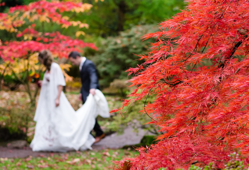 husband, park, red maple, men, life events, women, couple - relationship, married, autumn, outdoors, 2K, plant, wife, japan, man, wedding dress, positive emotion