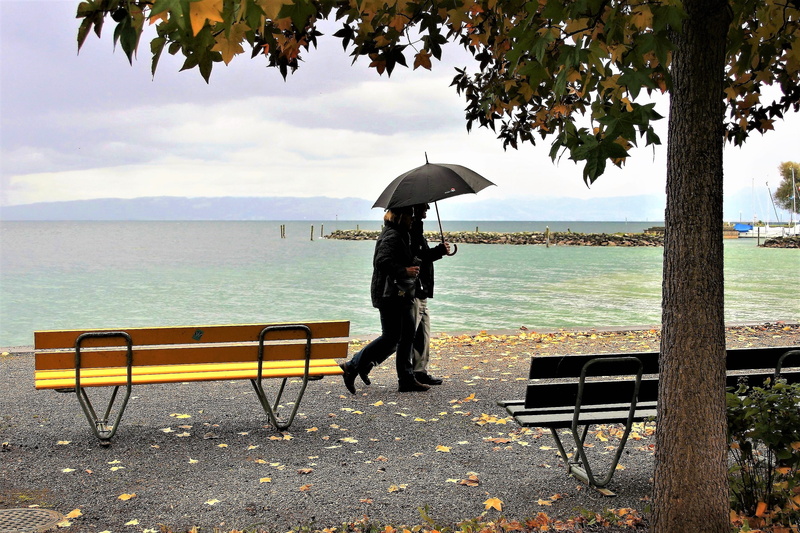 wind, outdoors, para, day, rest, morning, the silence, plant, daytime, tranquility, vanishing, peace of mind, rain, real people, park, colors of autumn
