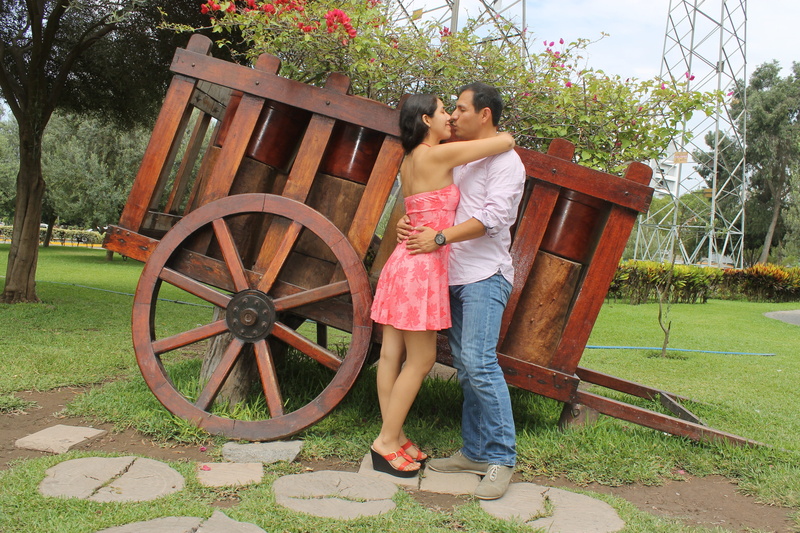wood - material, Love, shorts, transportation, Kiss, females, young adult, nature, people, full length, nuptials, lovers, marriage, casual clothing, real people