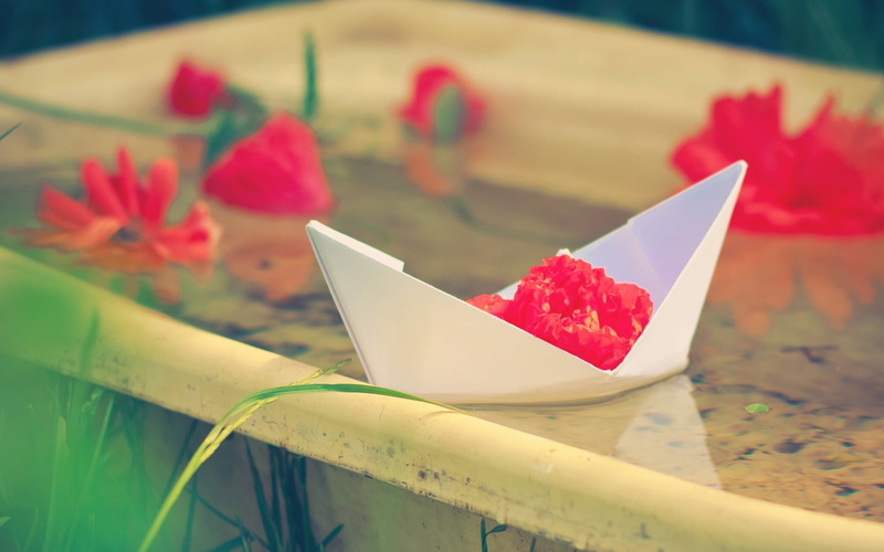 no people, focus on foreground, paper boat, white, freshness, flower, outdoors, creativity, origami, table, red, craft, close-up, nature, selective focus