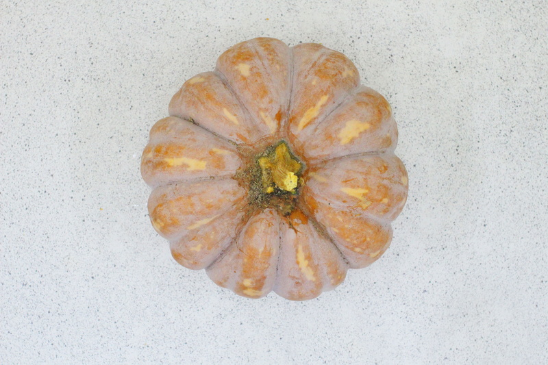 White, Pumpkin, directly above, pattern, food, outdoors, no people, flower, wellbeing, studio shot, high angle view, close-up, healthy eating, food and drink