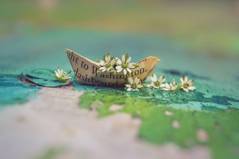 paper boats, 1080P, flowers, plants