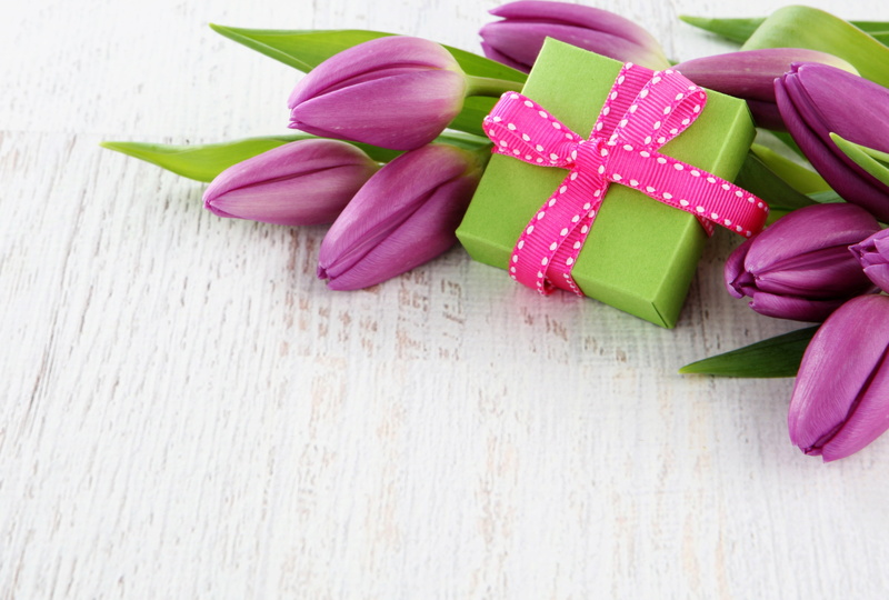 still life, plant, flowering plant, tape, ribbon, high angle view, love, mothers Day, gift Box, copy Space, no People, plank, tulips, purple, season, multi Colored