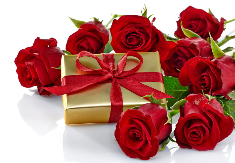 positive emotion, ribbon, backgrounds, tied bow, close-up, Valentines Day, beauty in nature, petal, bow, white background, flowering plant, gift box, white