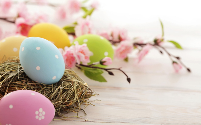 colorful eggs, 2K, easter time, easter egg, eggs, easter, time