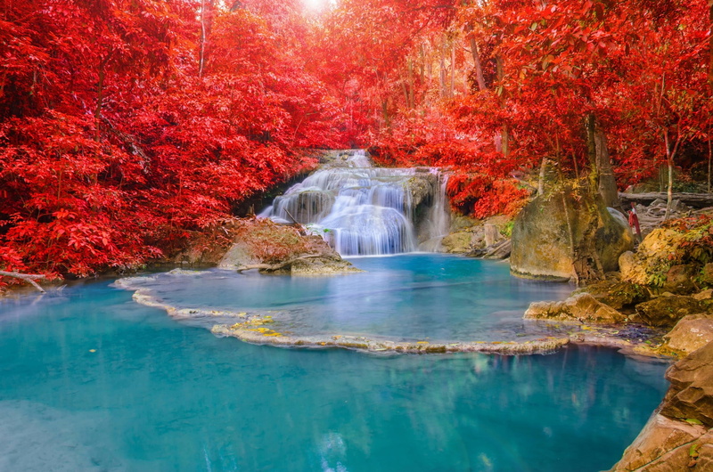 nature, plant, waterfall, forest, beauty in nature, pool, red, autumn, water, change, 1080P, tranquil scene, non-urban scene, scenics - nature, tranquility
