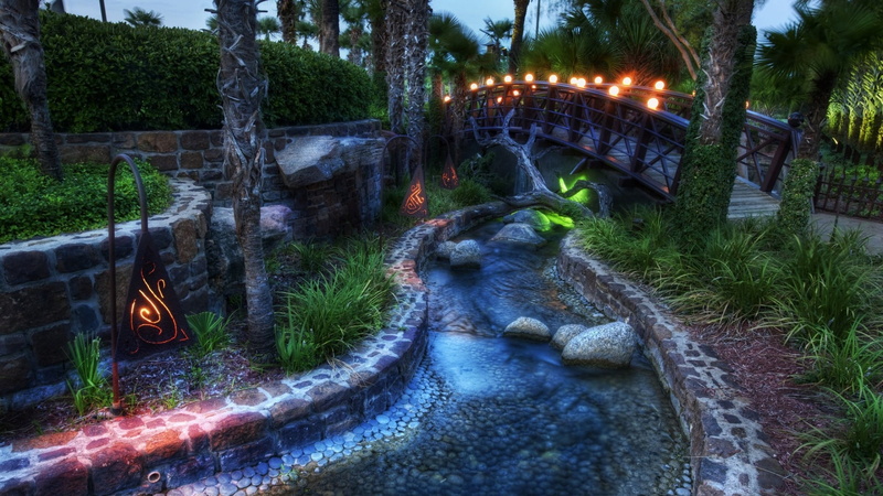connection, plant, pool, bridge, motion, inflatable, nature, flowing, outdoors, forest, green, lights, built structure, tree, flowing water, water, park