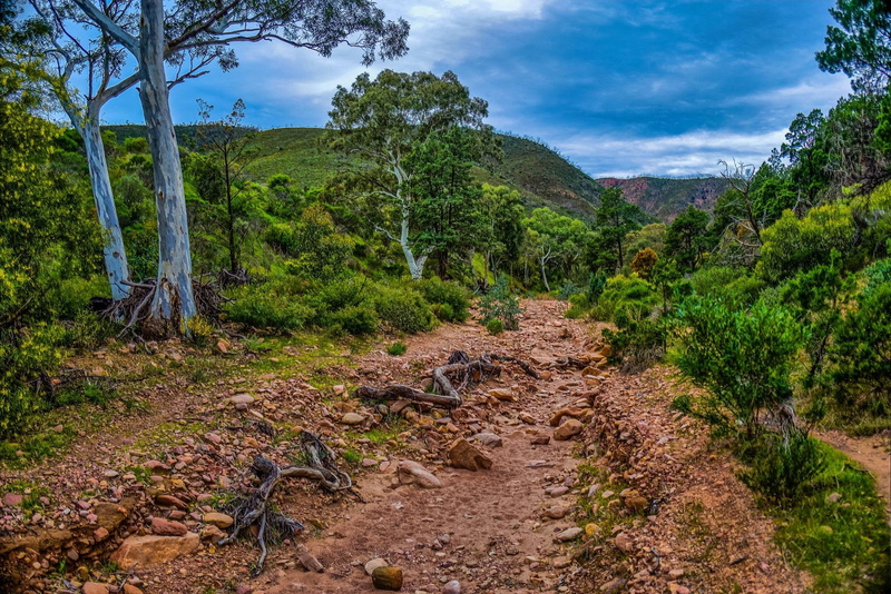 landscape, sky, scenics - nature, rainforest, remote, footpath, nature, beauty in nature, outdoors, growth, land, non-urban scene, green color, environment