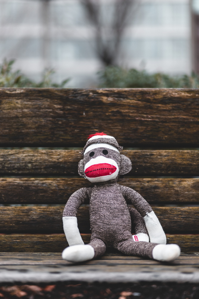 hardwood, shelf, sitting, 5K, winter, bench, gray, space, drink, beverage, clothing, alcohol, handrail, doll, banister, monkey, human representation, male likeness