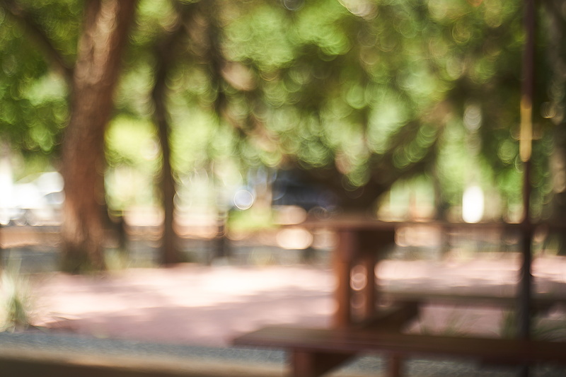 blurred motion, park, white, focus on foreground, wood, tranquility, land, sunny, bench, vegetation, apparel, clothing, grass, selective focus, sunlight