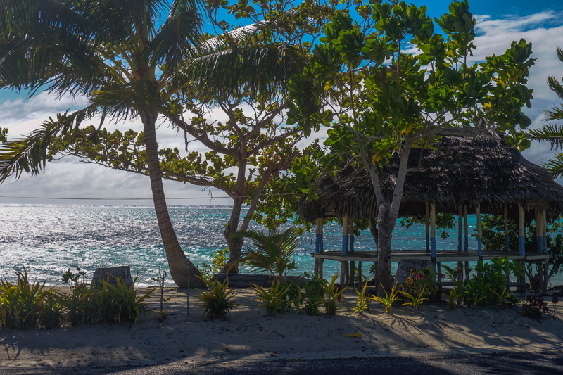 beauty in nature, beach, built structure, architecture, nature, garden, palm tree, coconut palm tree, day, arecaceae, coast, porch, outdoors, plant, tree