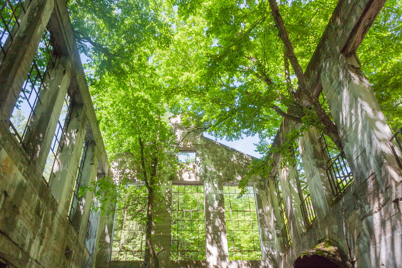 porch, ruins, housing, built structure, wilson carbide ruins, trunk, arbour, tranquility, green color, pergola, tree trunk, patio, architecture, trees