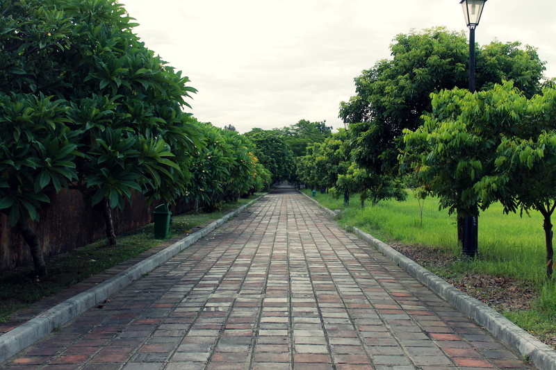no people, the way forward, tranquility, trail, cobblestone, direction, growth, vietnam, footpath, open road, hue, trees, nature, patio, paving stone, pergola