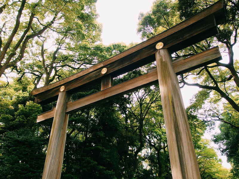 connection, bridge, arc, wooden, brown, no people, garden, land, patio, bridge - man made structure, park, forest, green color, worship, wood - material