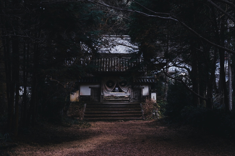 the way forward, built structure, no people, flagstone, dark, worship, plant, forest, belief, 4K, handrail, pergola, banister, tower, religion, nature