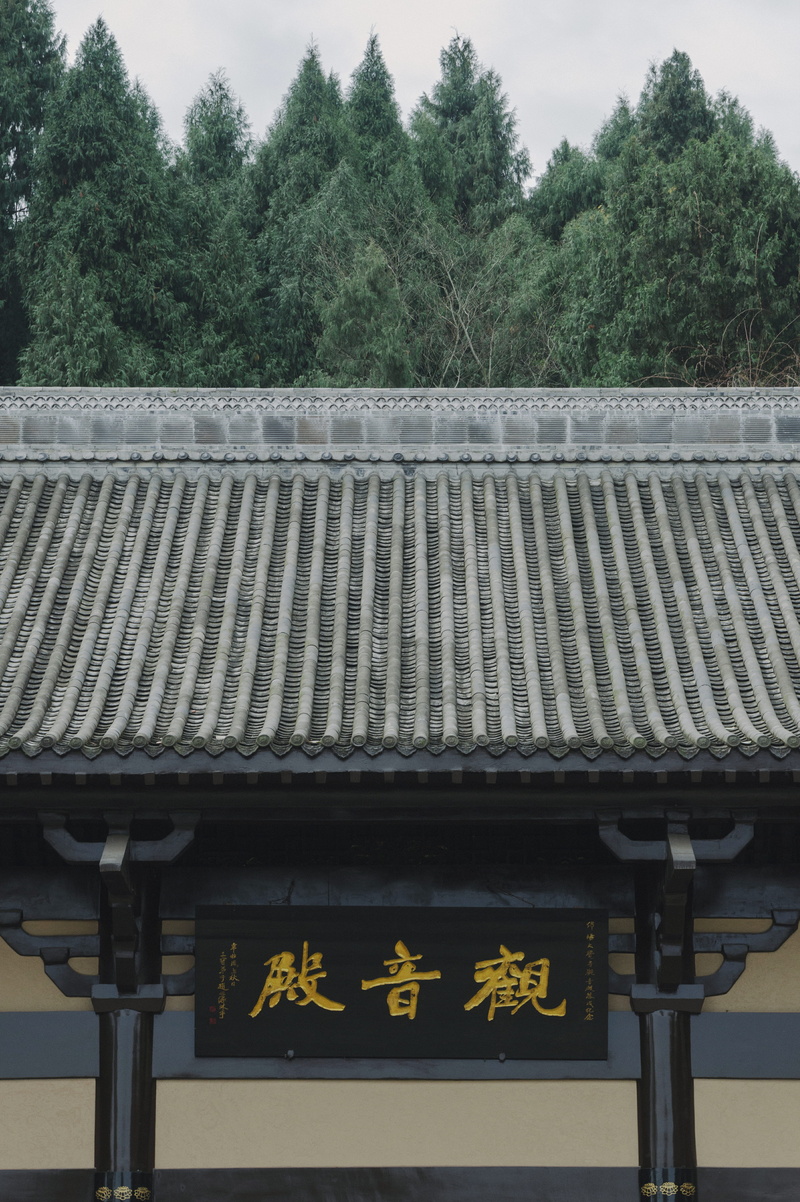outdoors, slate, nature, plant, communication, information, text, no people, sport, pergola, sports, pattern, urban, porch, metropolis, growth, tile roof