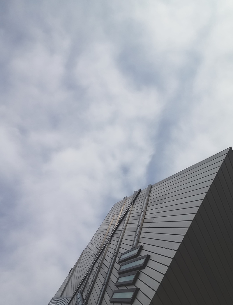 blackbird, grey, triangle, building exterior, animal, cloud - sky, office building, textile, town, bird, high section, urban, canada, spire, building, agelaius