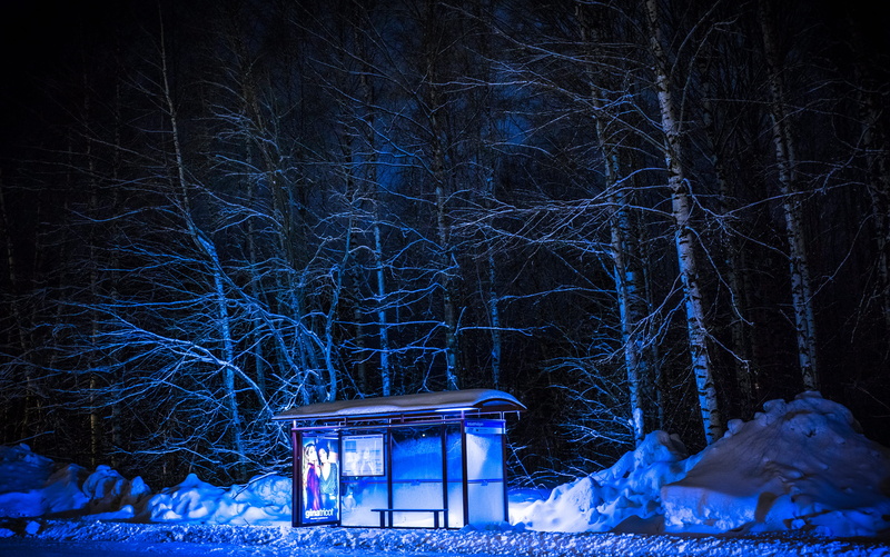 trees, frozen, evening, frosty, forest, built structure, cold temperature, photography, trunk, land, night, light, architecture, bus, no people, winter