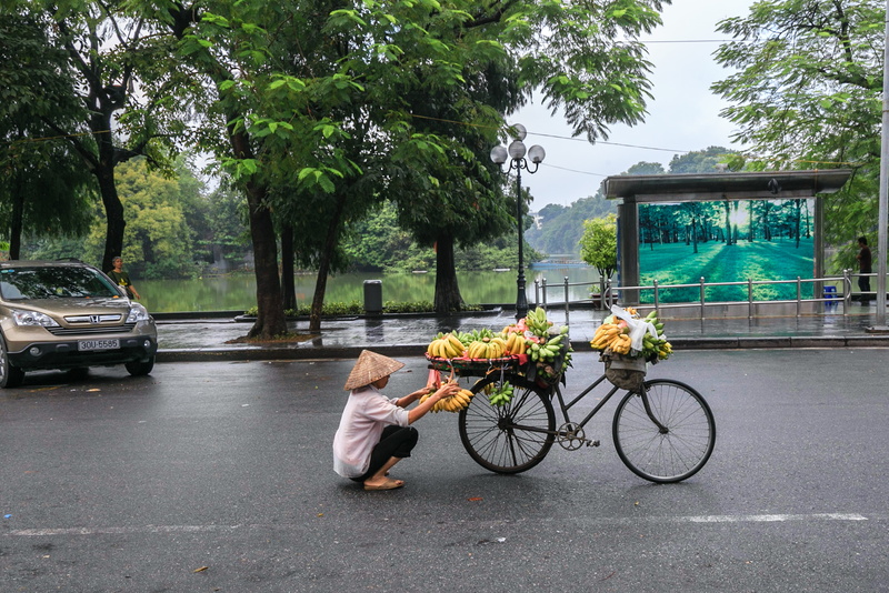 urban, one person, outdoors, nature, vehicles, summer, plant, road, car, tree, near, architecture, wheel, vendor, mode of transportation, real people, transportation system