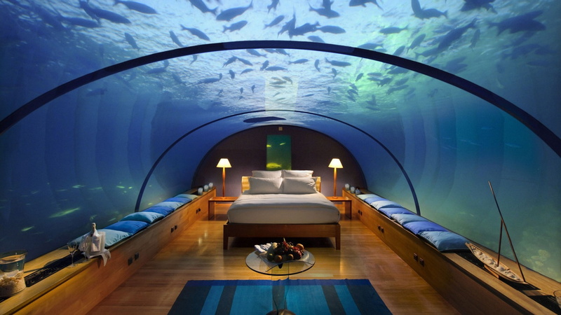 transparent, built structure, aquarium, sea, architecture, tank, lamp, animal, water, nature, 1080P, glass - material, day, vertebrate, bed, fish, hotel