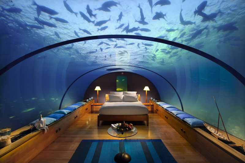 underwater, hotel, aquarium, 4K, fish, bedroom