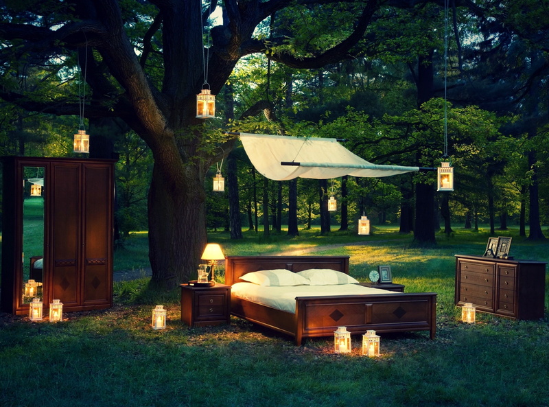 architecture, no people, tree trunk, green color, brown, Outdoor, Evening, Seasons, tree, park - man made space, Nature, outdoors, Bedroom, grass, field