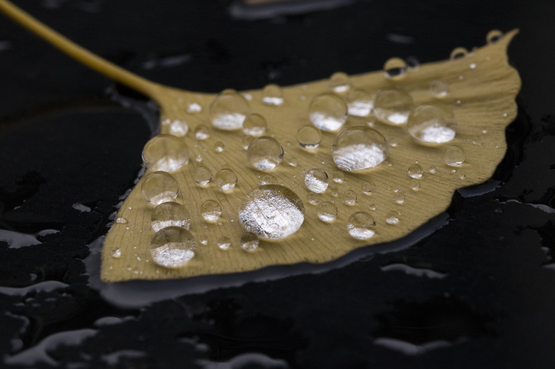 healthy eating, chinese food, high angle view, leaf, black background, selective focus, gutter, preparation, indoors, spoon, rain water droplets, studio shot