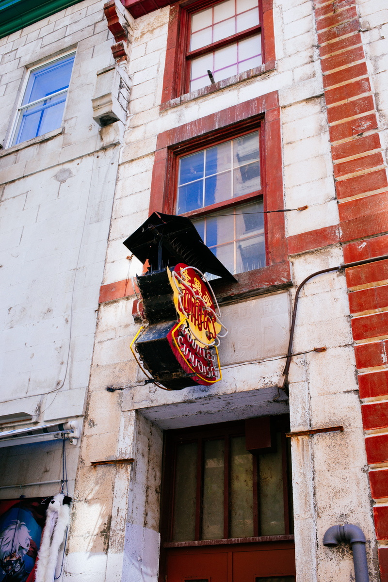alley, animal, alleyway, one animal, brown, celebration, animal representation, architecture, montreal, chinatown, high rise, window, brick, trash, no people