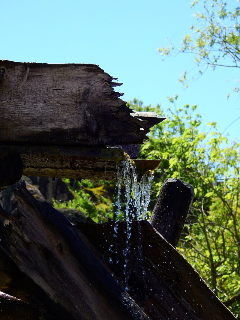 trough, wet, wood - material, gully, channel, built structure, day, low angle view, fountain, sky, tree, water, outdoors, no people, long exposure, focus on foreground