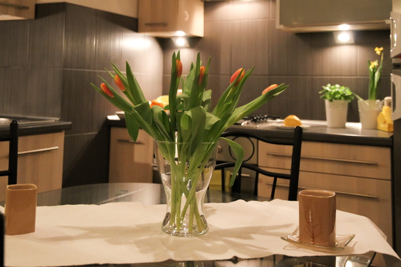 furniture, flower, kitchen counter, 2K, lighting equipment, luxury, comfortable apartment, elegance, flower arrangement, dining table, potted plant, interior design