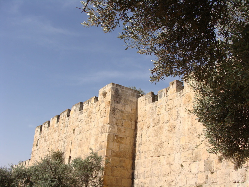 sky, wailing, stone, ancient civilization, stone wall, tree, building exterior, architecture, no people, castle, wall, the past, 1080P, plant, travel destinations