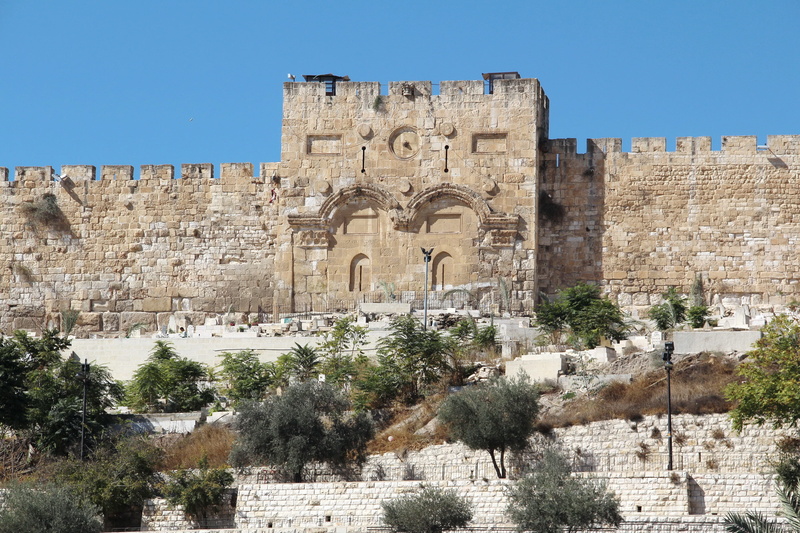 old town, jerusalem, clear sky, outdoors, ancient, sky, golden gate, no people, plant, nature, day, 2K, building, the past, history, fort, tree, travel