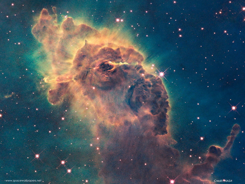 sea, no people, underwater, astronomy, animal wildlife, one animal, star - space, nebula, water, animal, undersea, space, green, nature, animal themes