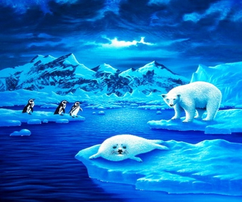winter, iceberg, polar-bears, 1080P, frosty, magic, icebergs, endangered, painti, white, snow, penguins, seals, drawings, blue, animals