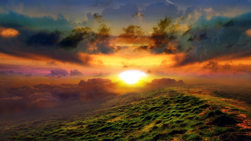 scenics - nature, cloud - Sky, idyllic, sky, weather, fog, dawn, plant, sunset, outdoors, sunrise - Dawn, environment, yellow, orange Color, scenics, tree