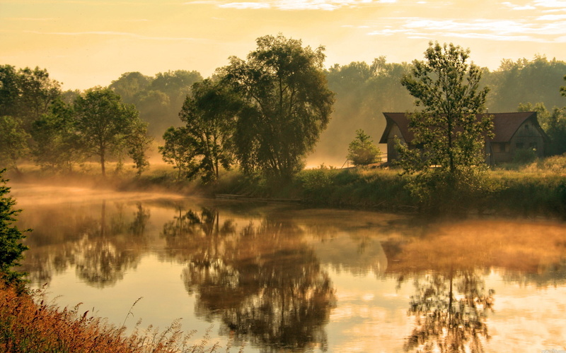 field, morning, green Color, beams, plant, rustic, green, non-Urban Scene, 2K, dawn, trees, dusk, tranquil Scene, nature, rural Scene, water, awakening