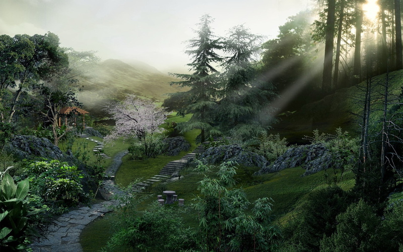 garden, day, sunlight, rural Scene, flowing water, environment, green Color, summer, forest, rice Paddy, plant, asia, trail, beams, scenics - nature, land