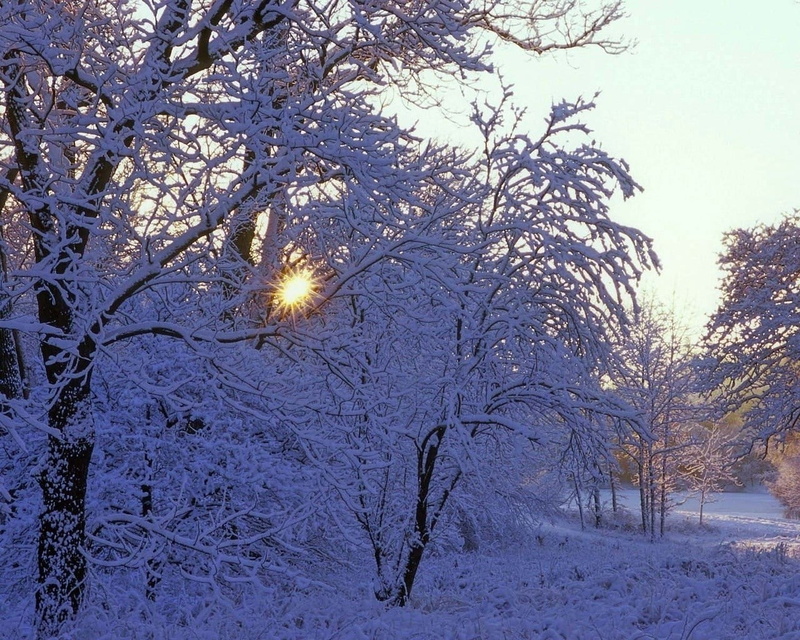 night, hoarfrost, january, sunlight, ice, christmas, season, winter, backgrounds, white, outdoors, cold - Temperature, blue, light, landscape, scenics - nature