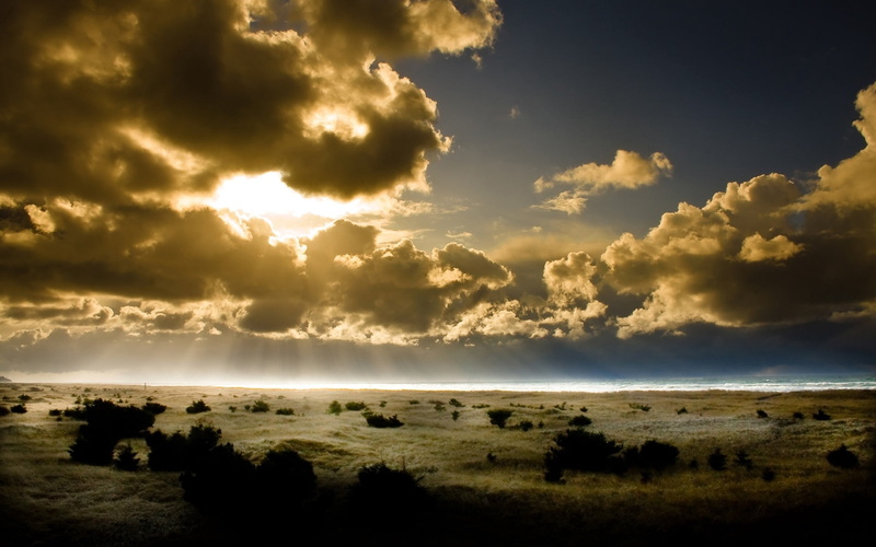 idyllic, rural Scene, bushes, beauty In Nature, tranquil Scene, beach, sun, white, scenics - nature, outdoors, clouds, no People, scenics, non-Urban Scene