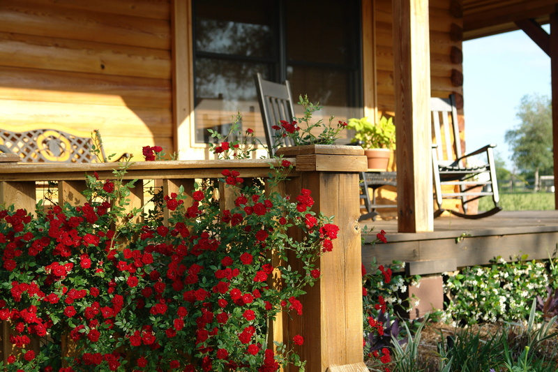 family home, flower, flower pot, roses, farm, window, building exterior, brown, built structure, flowering plant, day, wood, porch, outdoors, red, country
