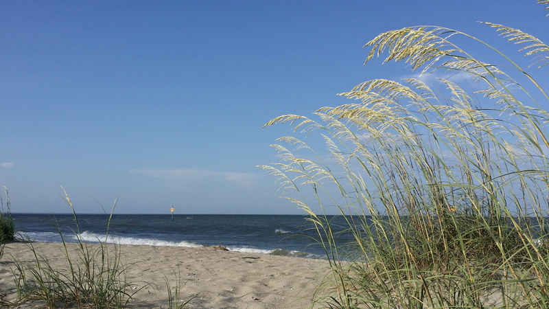 marram grass, water, bay, outdoors, sand, georgia, plant, coastline, horizon over water, grass, tranquility, day, horizon, clear sky, blue, beauty in nature