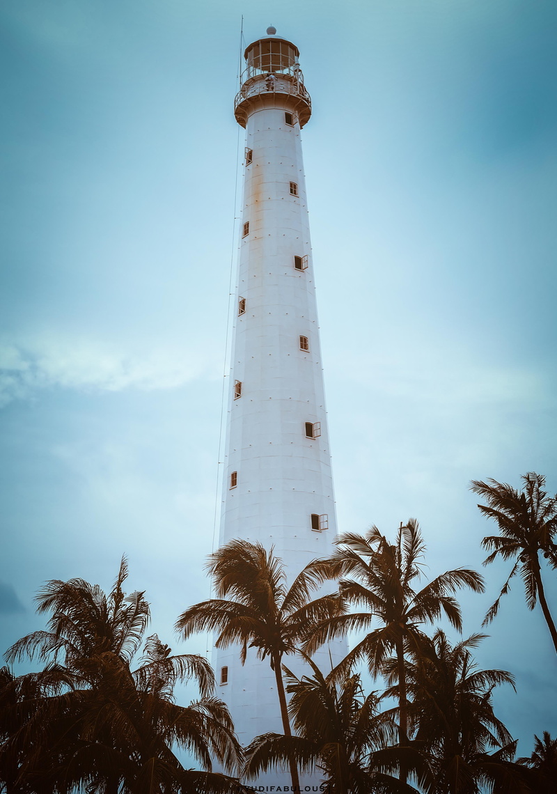 palm tree, tree, beach, tower, ocean, warning, sea, photo, tourism, palm, coconut, history, built structure, daytime, day, low angle view, tall - high