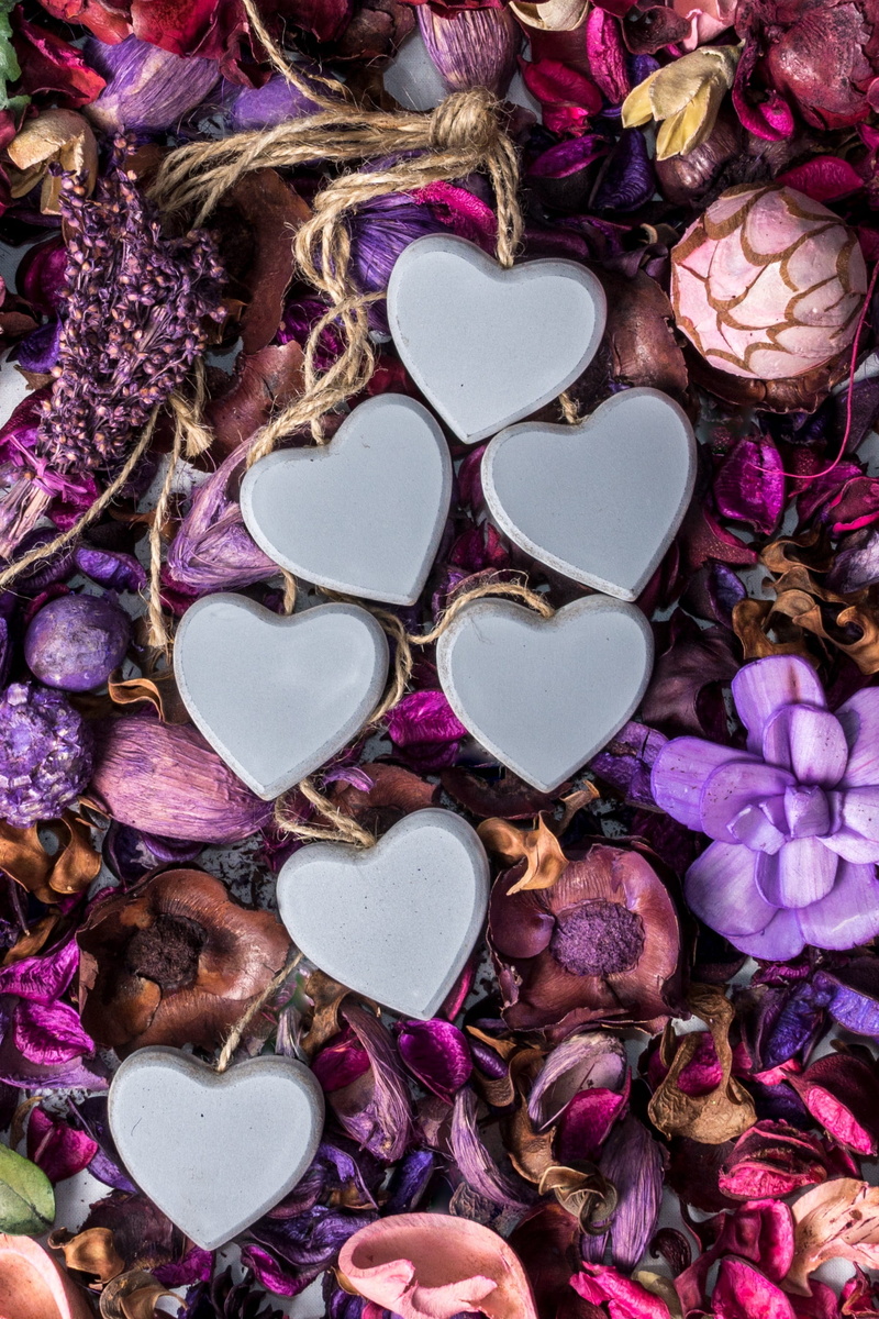 seven, flower, abundance, no people, flowers, valentines day, love, hearts, lavender, indoors, nature, romanticism, full frame, freshness, multi colored
