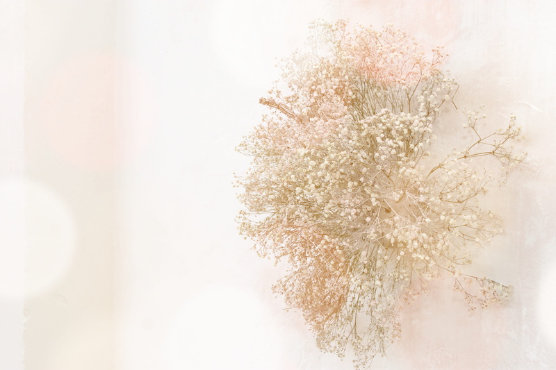 flower head, tree, cherry tree, cold temperature, no people, ornament, room, vintage, flower, plant, copy space, mood, white color, nature, pastel colored