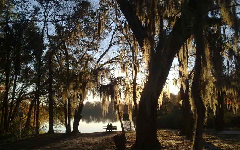 landscape, growth, light - Natural Phenomenon, back Lit, leafed, silhouette, dawn, trunk, forest, land, reflection, lake, sunlight, pair, sunrise - Dawn