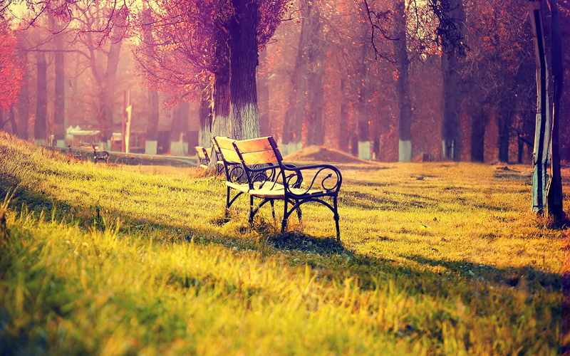 light, shadows, evening, autumn, benches, 2K, park, romanticism, pair