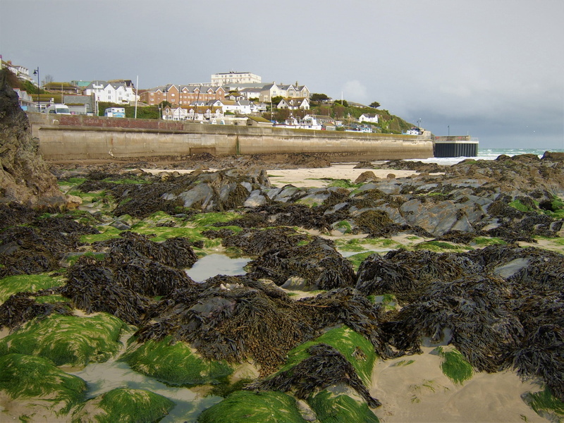 architecture, mud, day, seaweed, beach, land, rock - object, amusement park, built structure, pollution, newquay, nature, 2K, sea, water, rocks, outdoors