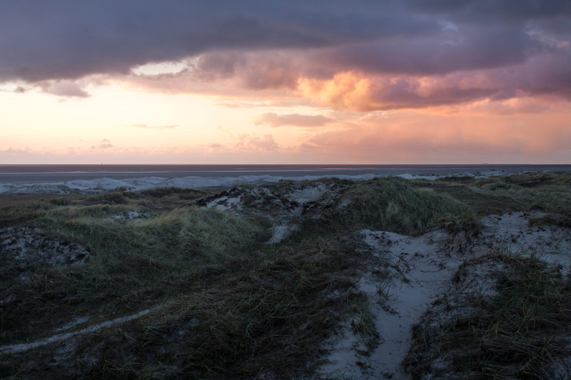 horizon, north sea, water, sun, dunes, sunset, tranquil scene, environment, sky, gras, outdoors, non-urban scene, nature, nordsee, beauty in nature, 4K