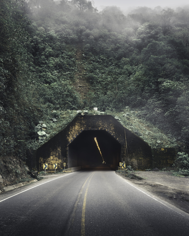 tropic, leafe, architecture, 4K, tropical, car, tunnel, diminishing perspective, nature, connection, highway, path, route, marking, misteriou, road sign